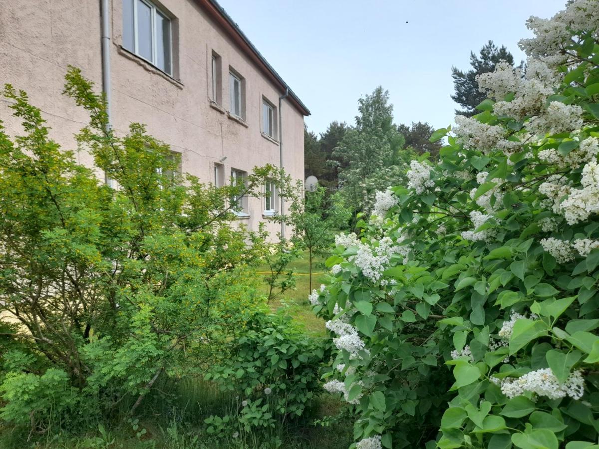 Quiet Summer Apartment Aucugals Exterior foto
